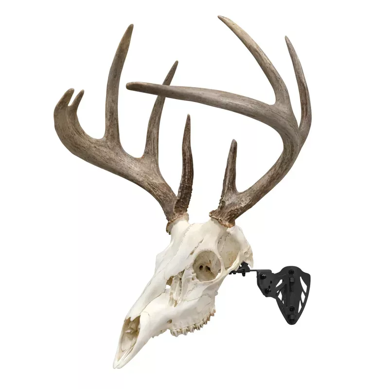 Allen Company EZ Mount Trophy Skull Hanger - Black - Hunt Gear Supply