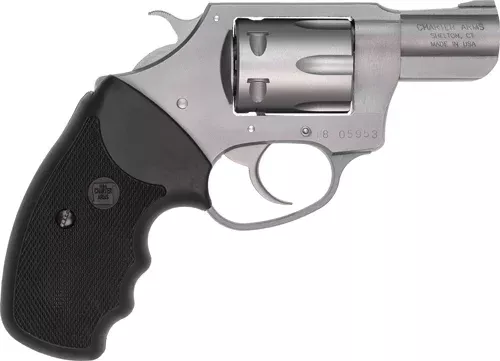 CHARTER ARMS PATHFINDER 22LR - 2" S/S - Hudson Valley Arms
